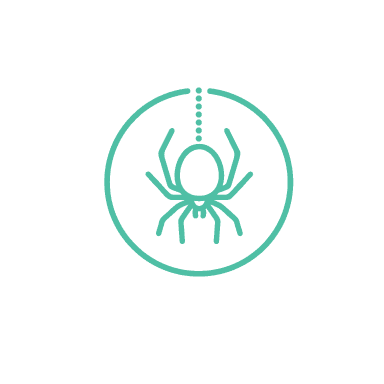 Spider control that manages the webs, not just the worry.