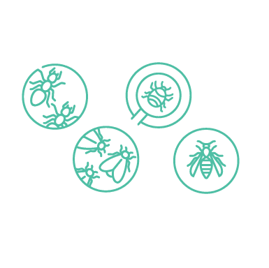 Not every pest problem fits the usual treatment.